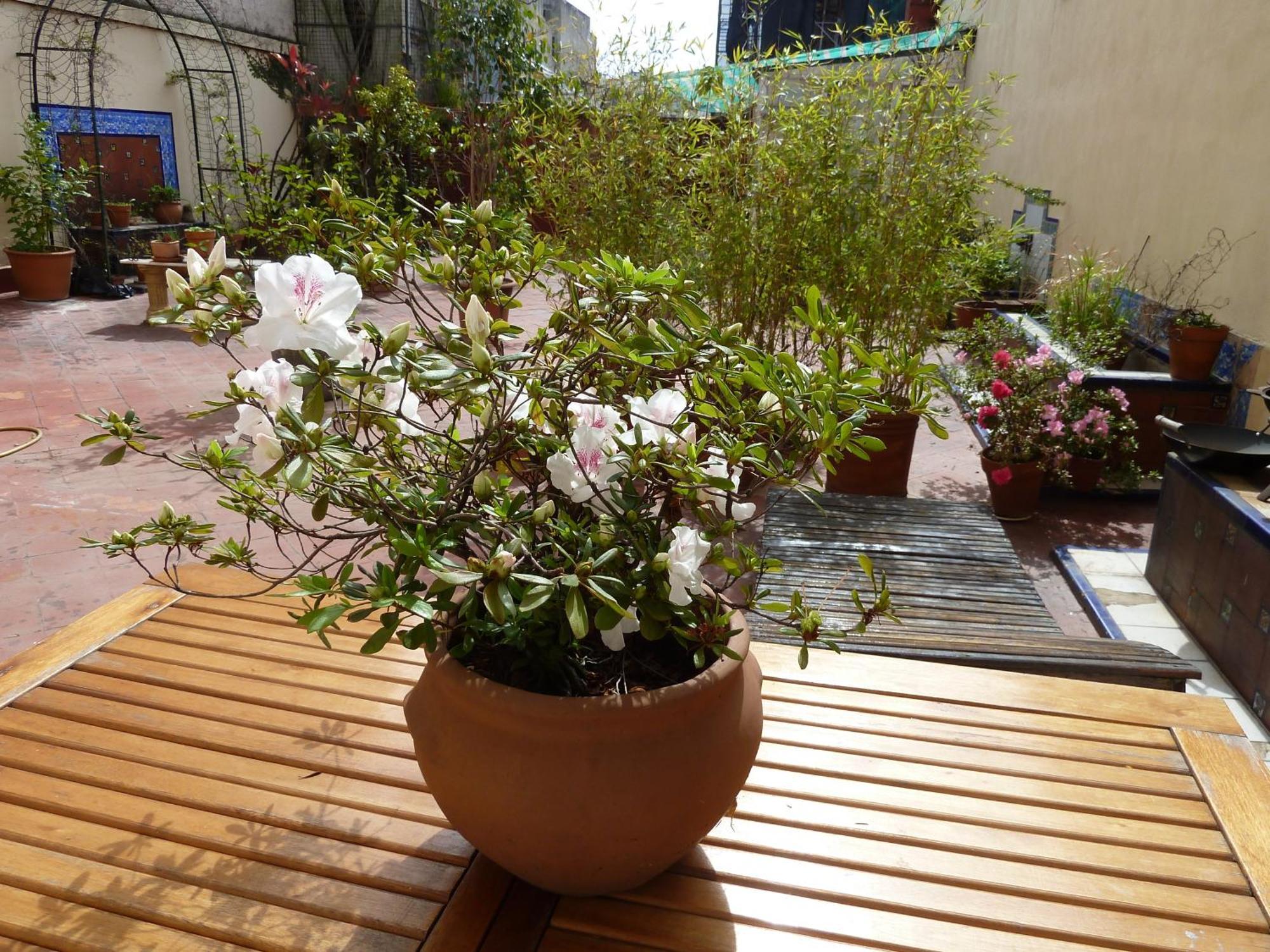 Via Arriba B&B บัวโนสไอเรส ภายนอก รูปภาพ